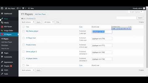 How to Use YT Player Plugin  | Play a YouTube video in WordPress