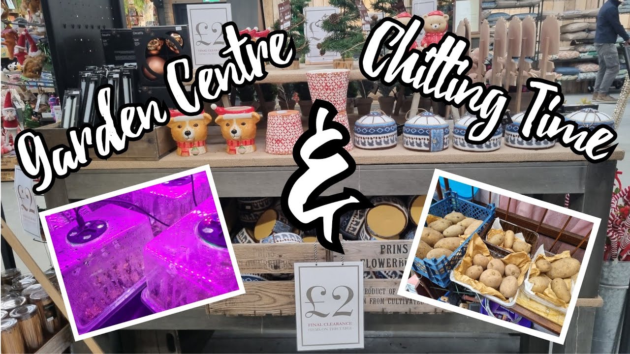 Юбилеи, распродажи и картофель