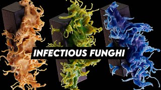 Deadly (but beautiful) FUNGHI INFECTION with Cinema 4D and Insydium NeXus by 3DBonfire 4,582 views 9 months ago 21 minutes