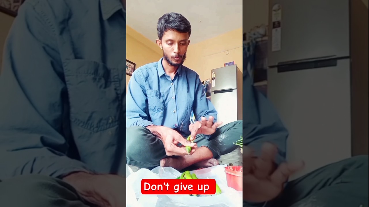 Sai Balaji mirchi point