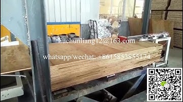 Automatic plywood/blockboard putty applying machine