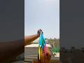 Jaguar Rocket Paper Airplane Perfect Straight Fly