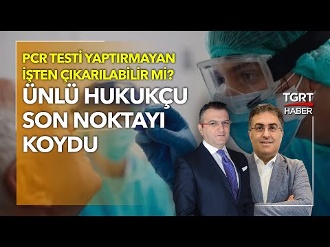 Video: Test Yapmak Istemeyen Salyangoz