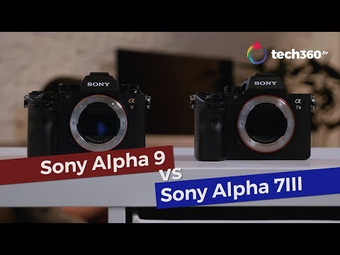 Shootout: Sony A9 vs Sony A7III
