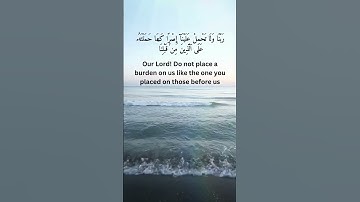 سورة البقرة - Surah Al-Baqarah ❤ [ الآية : 286 ]