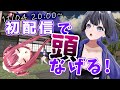 初配信だし自分で作ったクソゲープレイする【#山ン本のぶり】