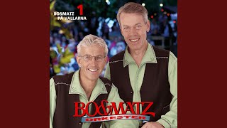 Video thumbnail of "Bo&Matz Orkester - Tårar skymda av ett regn"