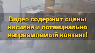 Два алабая в центре Костаная загрызли собаку Два алабая в центре Костаная загрызли собаку