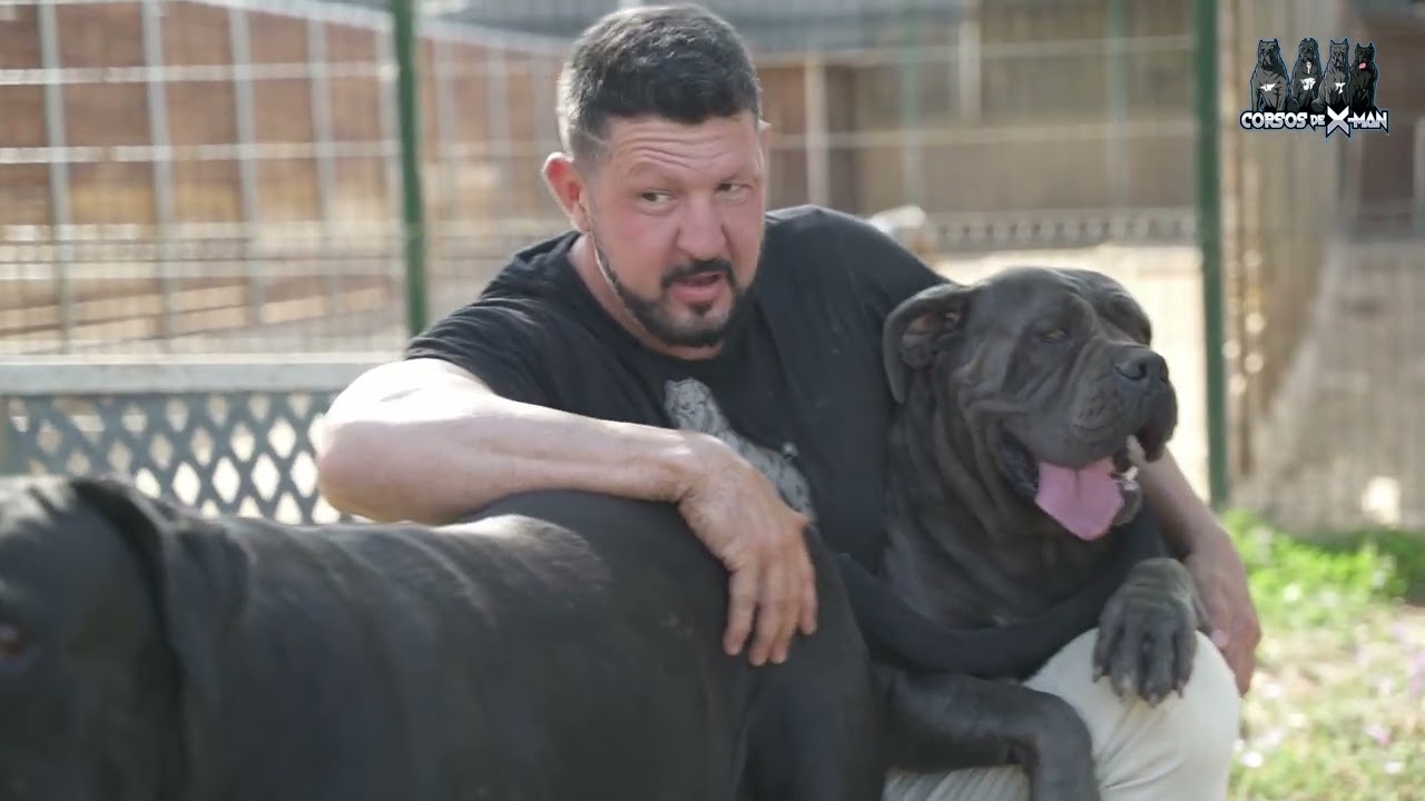 FAVORITO MACHO O HEMBRA  ?