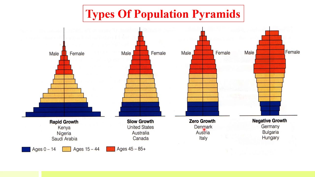 What Are The Different Types Of Population Graphs - Design Talk