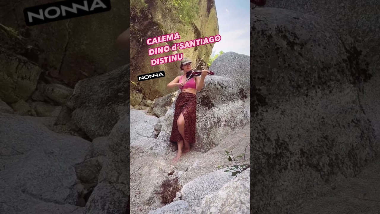 NEW violin cover DISTINU  