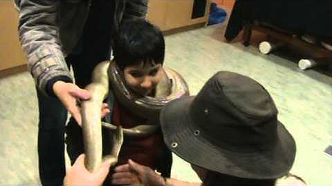 ATHRVA HOLDING OLIVE PYTHON