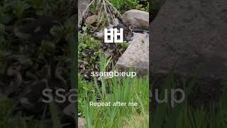 Learn Korean Hangul ㅃ (ssangbieup)