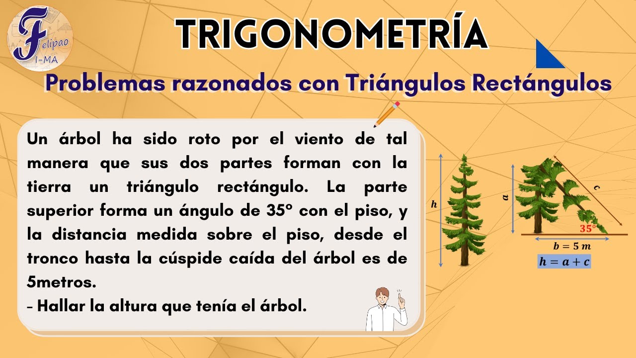 Problemas razonados con Triángulos Rectángulos, ejercicio 1