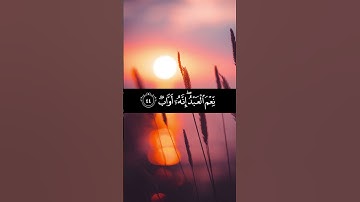 إنا وجدناه صابرا نعم العبد إنه أواب. سورة ص. القارئ: رعد الكردي. تلاوة هادئة خاشعة. #قران_كريم