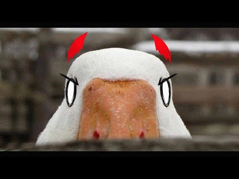 Видео: ГУСЬТЕКРИС АТАКУЕТ САДОВНИКА! | Untitled Goose Game