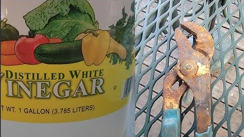 Will White Distilled Vinegar Dissolve Rust - FACT or Fiction?! Let