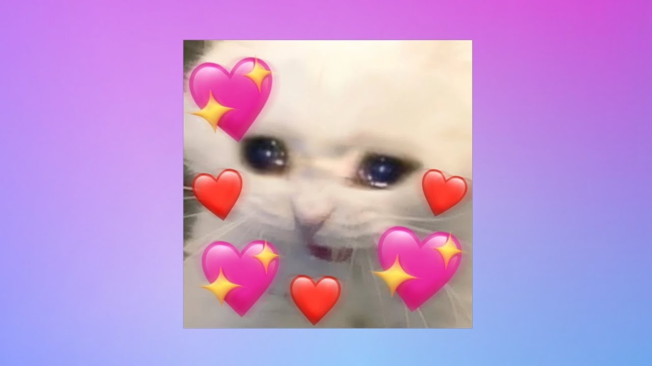 o amor da minha vida prod @sunoai 