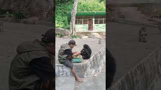 Ayo cepat turun.. #fyp