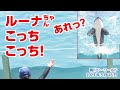 ジャンプの場所を微妙に間違えちゃうルーナちゃん【2023年5月16日】鴨川シーワールド