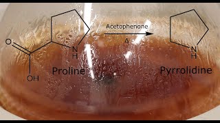 Proline Decarboxylation to Pyrrolidine