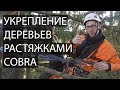 Каблинг - укрепление деревьев системой стабилизации крон Cobra от падения www.Tree-Work.ru