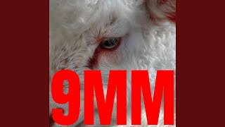 9mm