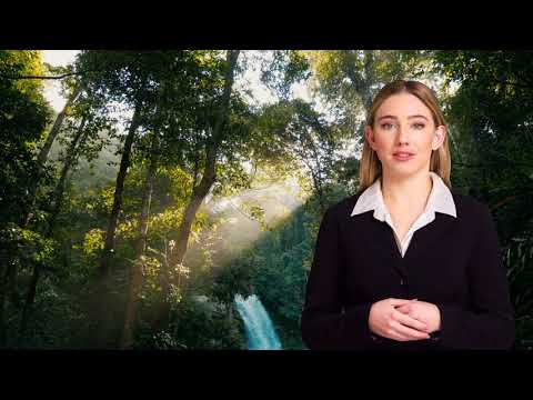 ourfuneral.com video