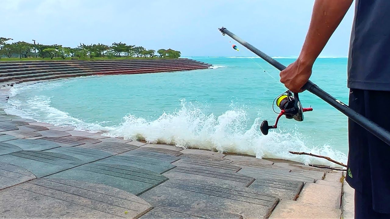 荒波の護岸に現れる大物を狙った結果…（チヌを捌いて食べる）