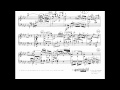 Miniature de la vidéo de la chanson Piano Sonata No. 5 In C Minor, Op. 10 No. 1: I. Allegro Molto E Con Brio