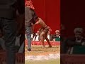 🔥🔥 training video 🔥🔥 fitness boy 🔥🔥 student