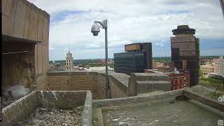 Camera 4 - 05/29/26