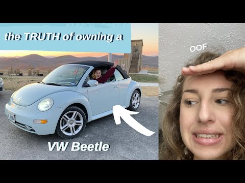 the TRUTH about owning a VW Beetle *gasp*