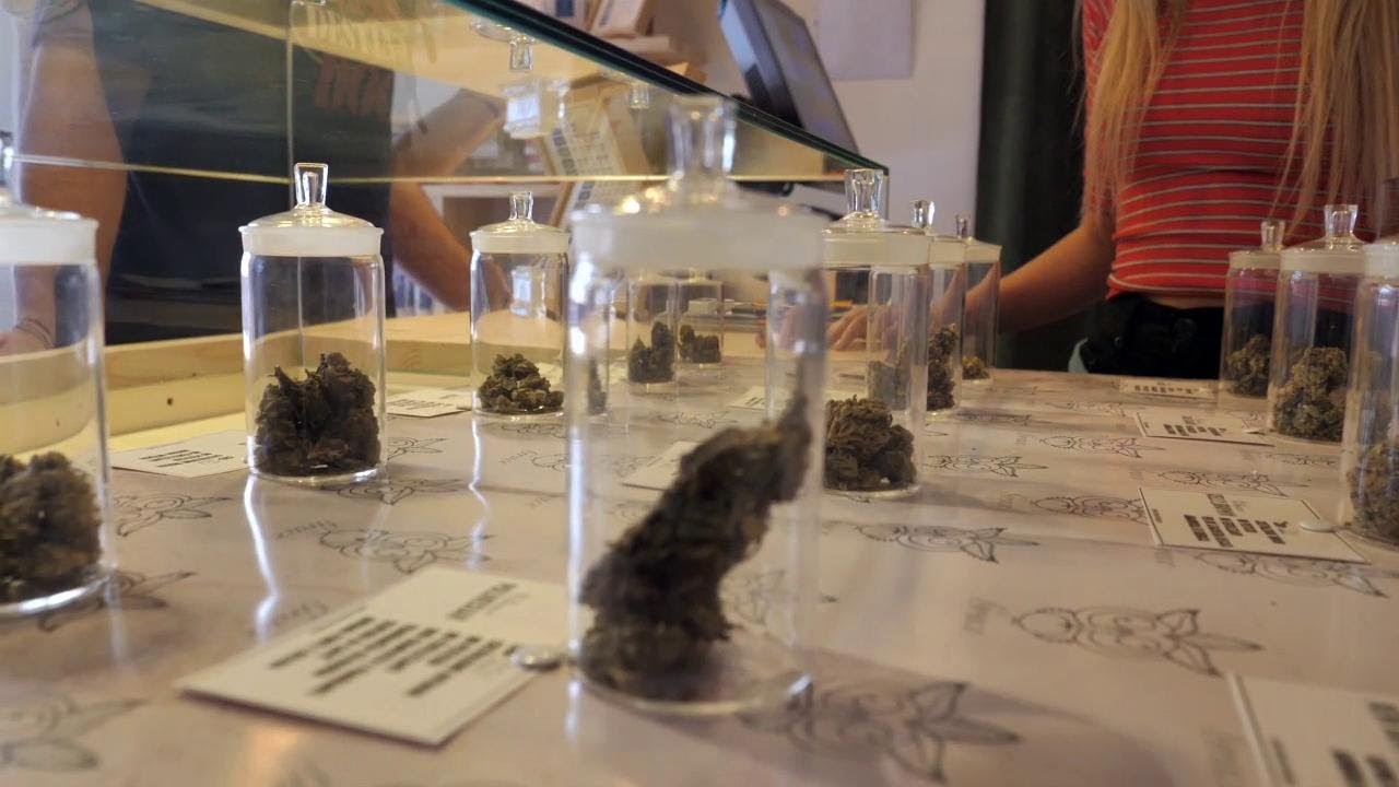 Cannabis light, aumentano negozi e clienti: sugli scaffali anche pasta e cosmetici a base di canapa