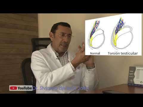 Video: Dolor Testicular