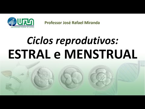 Vídeo: O estro é um ciclo reprodutivo?