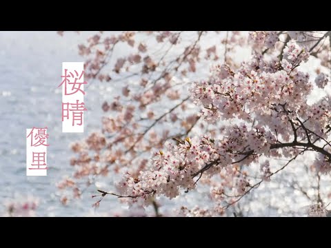 【中日歌詞】優里 - 「 桜晴 」《純粹中翻》