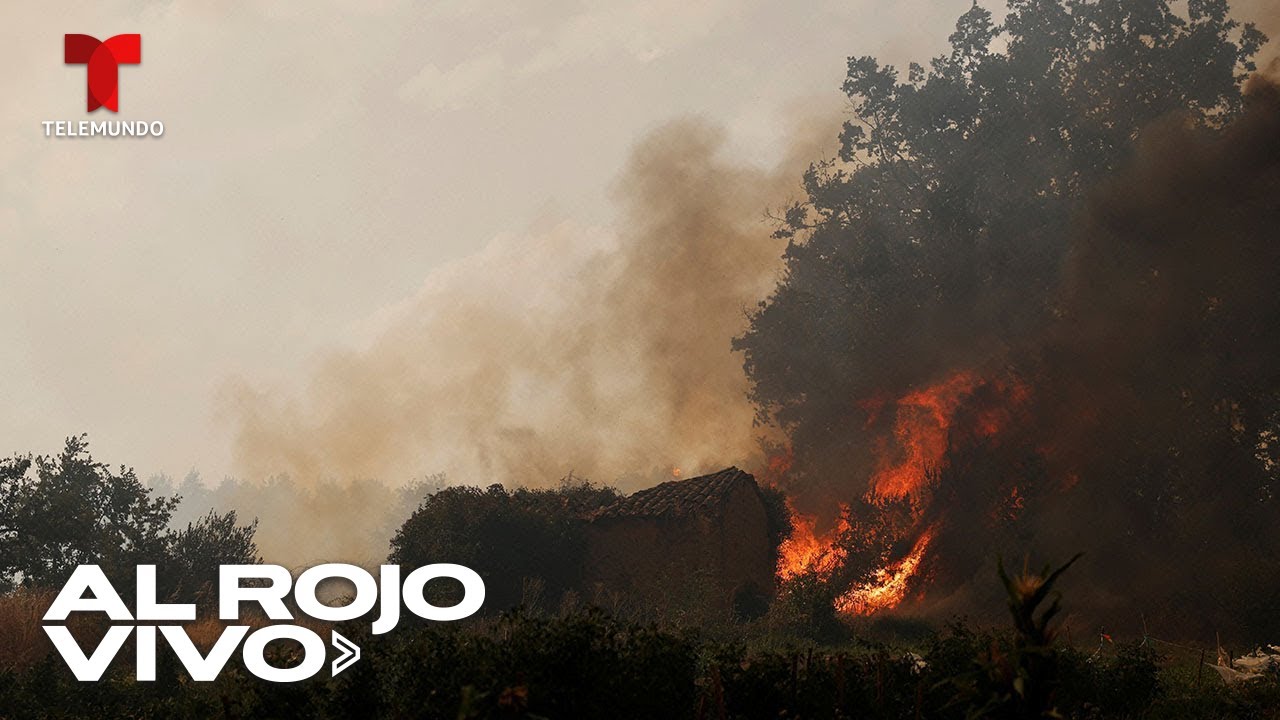 Incendio forestal arrasa la región española de Castilla y León | Al Rojo Vivo | Telemundo