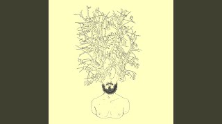 Delicate - Hide Vincent