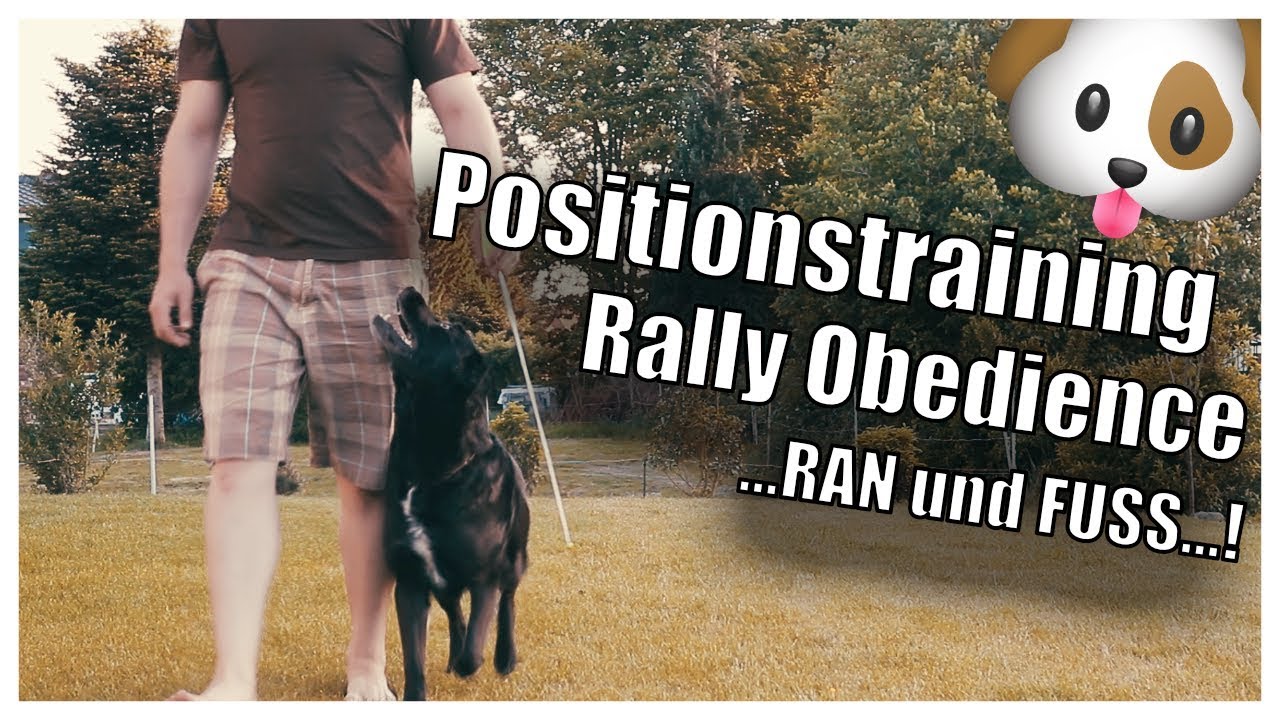 Rally Obedience - Positionstraining RAN und FUSS | Tony Kliebisch