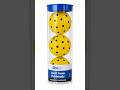 OnCourt OffCourt Quiet Foam Pickleballs