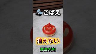 コバエがホイホイではコバエは消滅しません！コバエ完全退治の方法が完成しました！　私は悩んでいません。