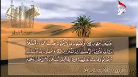 القرآن الكريم الجزء - 14 - الحاج رافع العامري