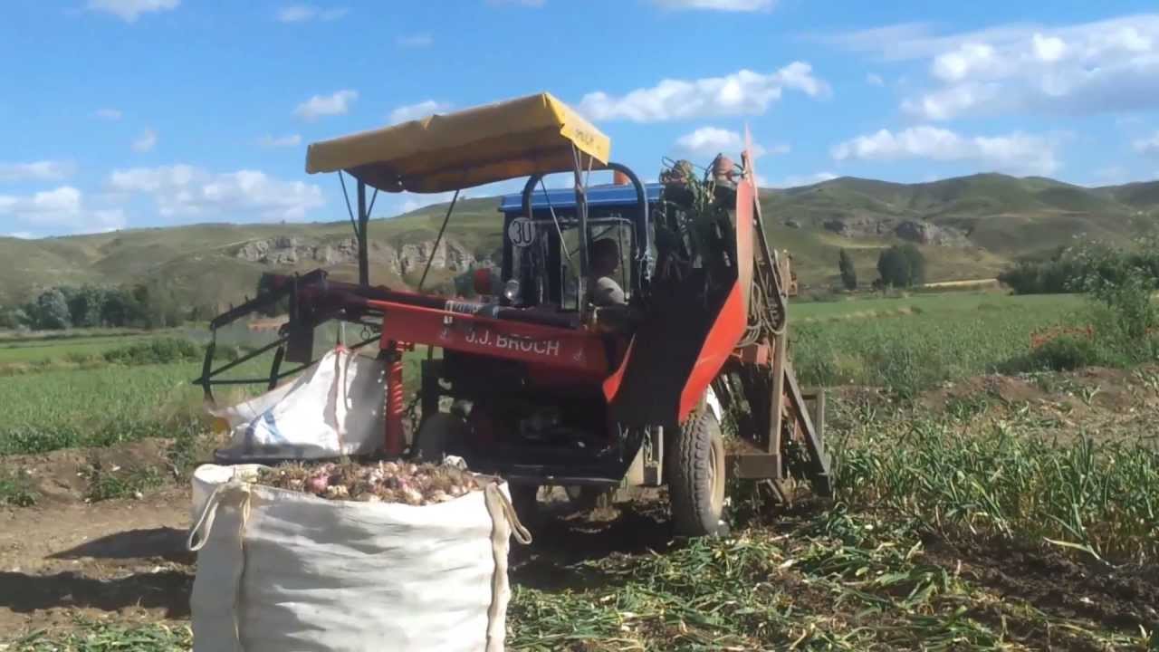 New Holland Tn 55 con maquina de sacar ajos J,J,broch,  de 1 hilera en L ( En HD )
