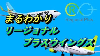 2022年10月3日統合 エアドゥ・ソラシドエア 【共同持株会社リージョナルプラスウイングス設立 飛行機 乗り方】