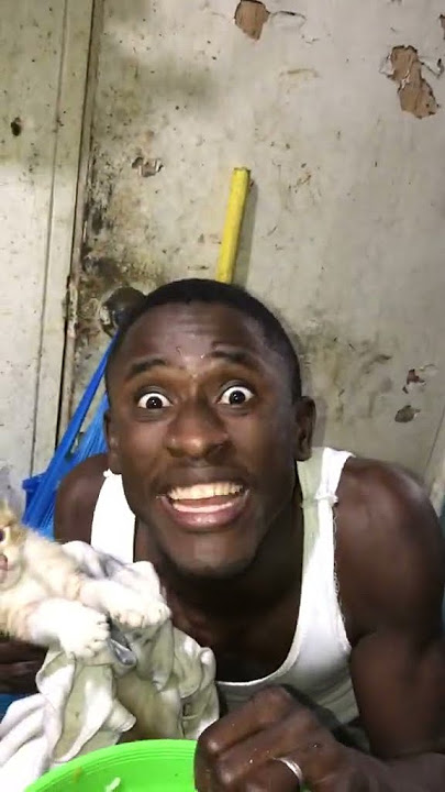 SIGAN VIENDO comerá Gato | Seco de GATO