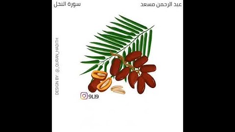 وضرب الله مثلا قريه كانت امنه عبد الرحمن مسعد من سورة النحل