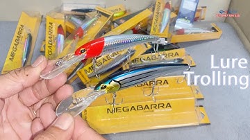 Mồi giả câu biển, câu Lure, Trolling cá Thu, Nhồng, Mú