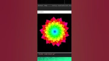 Python turtle project to draw a colorful flower
