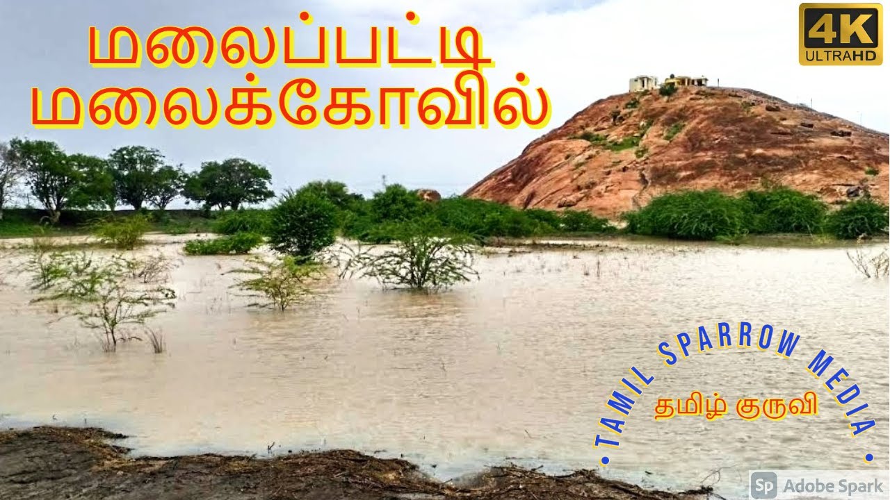 Travel Vlog 4K | மலைப்பட்டி மலைக்கோவில் | A Trip to Beautiful Hill Temple | Tamil Sparrow Media